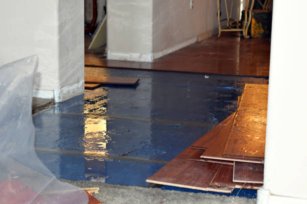 Professional Burst Pipe Cleanup technician working in Elizabeth, PA